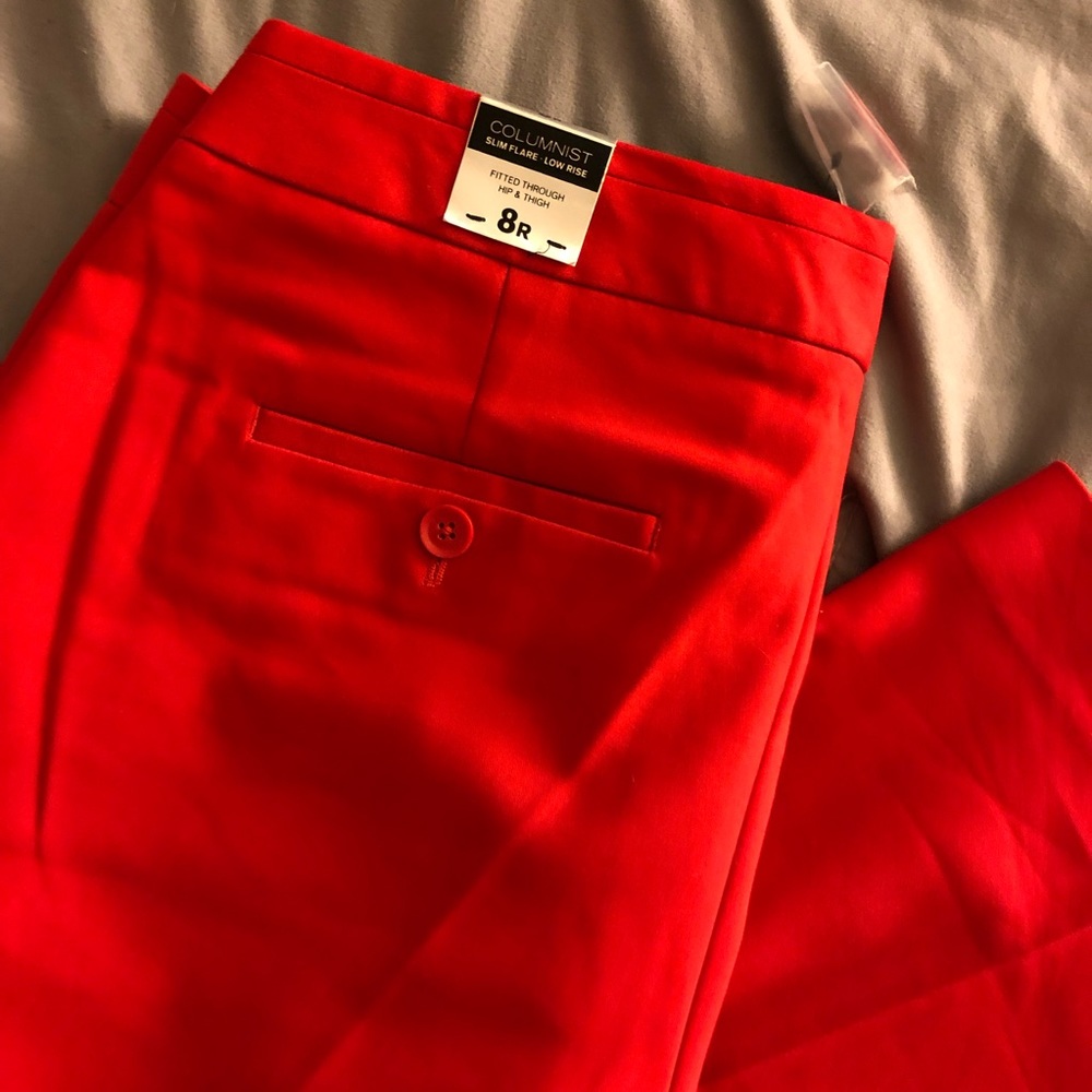 Express Columnist Pants